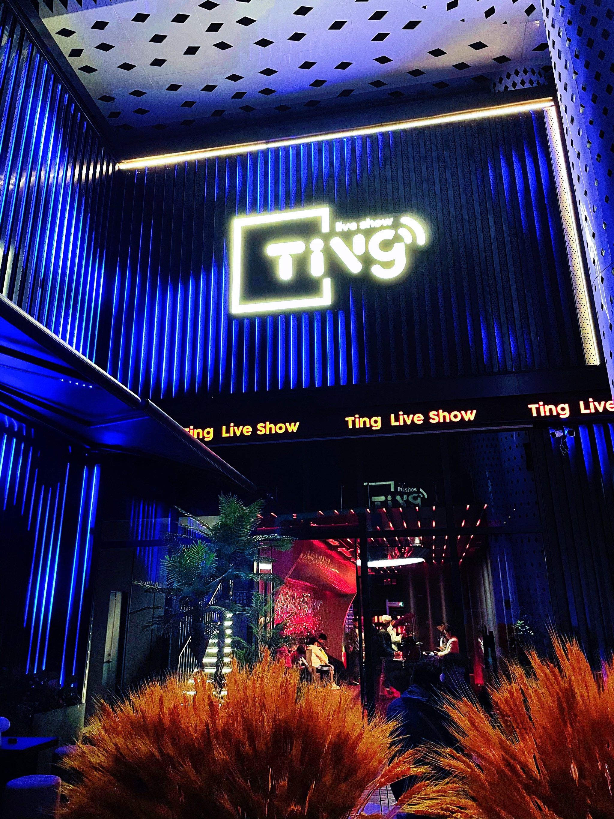 常德商务ktv及商务ktv什么意思解析-鼎城区ktv预订